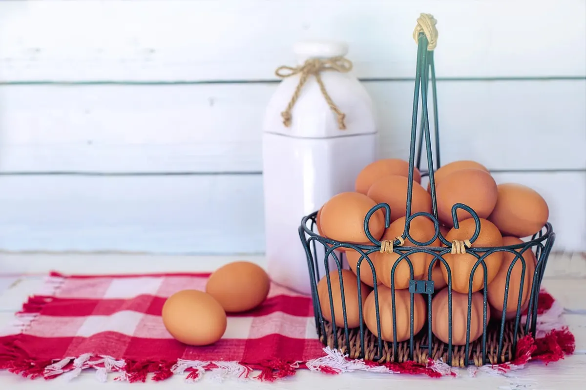Beginner's Guide to Buying Vintage Textiles for Rustic Interiors